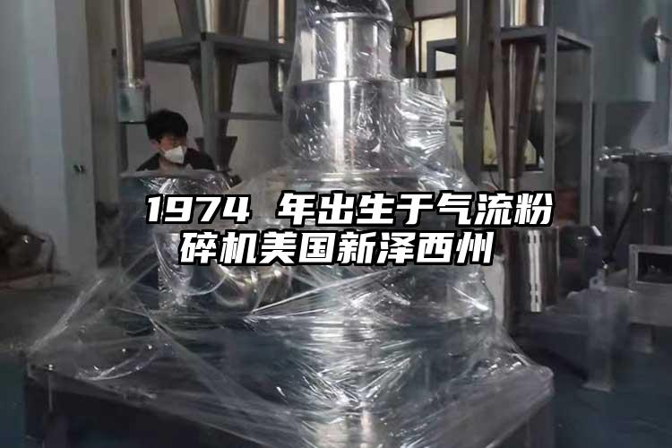  1974 年出生于氣流粉碎機美國新澤西州